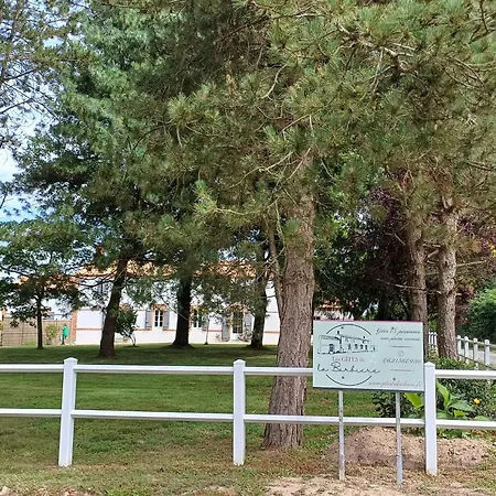 Spacieux En Vendee Avec Piscine Chauffee - Fr-1-426-596 Soullans